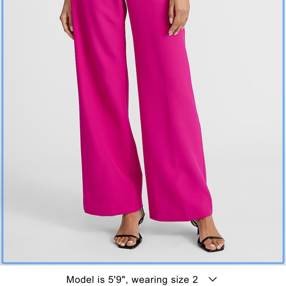 Express Pink Wide-Leg Pants